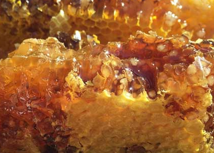 蜂蜜祛痘原理